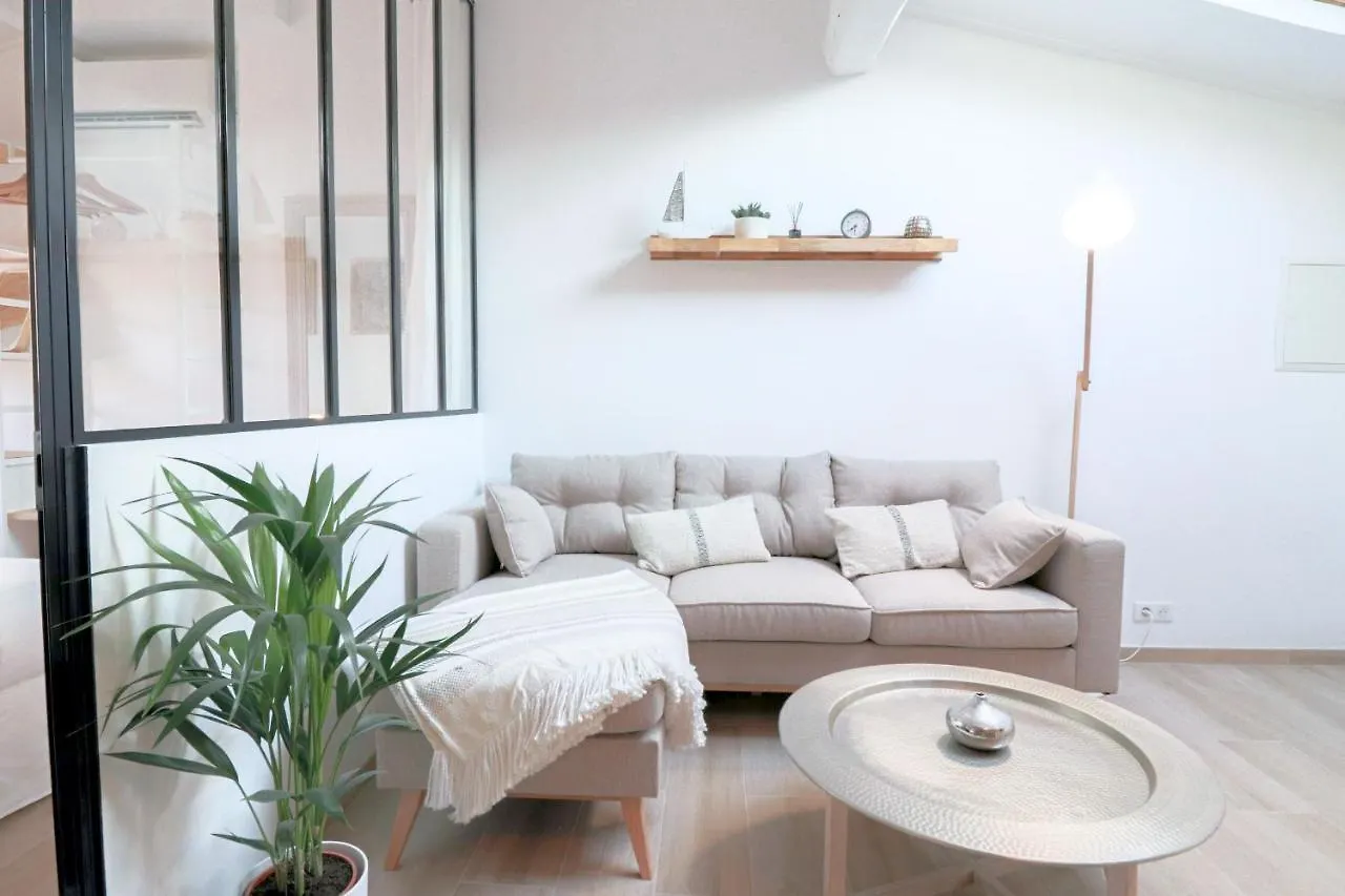 Apartment Vauban Rare Renovated Luxury Loft In Old Antibes 300 M From Beach